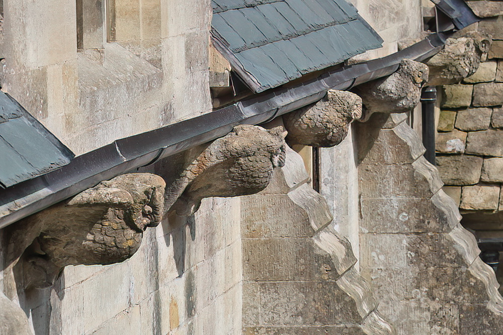 Woodchester owl gargoyles